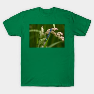 Common Blue Damselfly T-Shirt